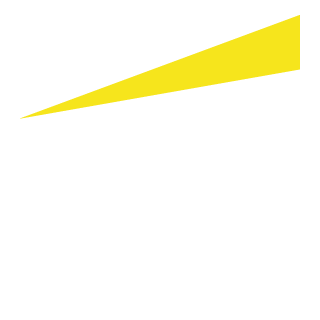 Logo EY Mauritius