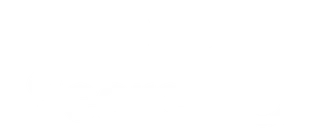 Logo Lean Search